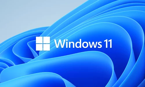 ORDINATEUR et MICROSOFT WINDOWS